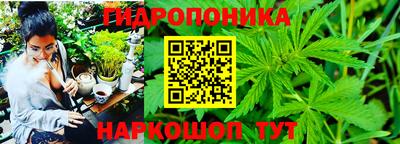 spice Пугачёв